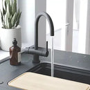 black boiling water tap