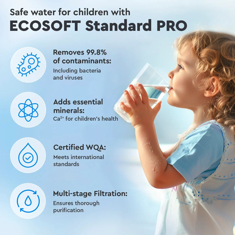 EcoSoft Standard Pro Mineralizer System [2026 PRO Model]