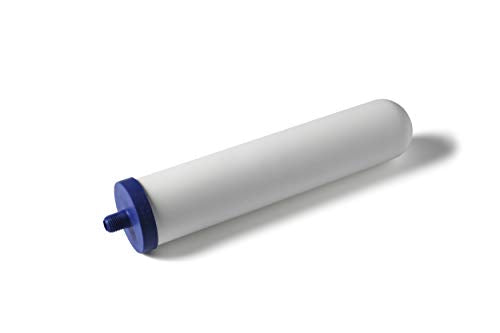 Water filter cartridge for chlorine removal